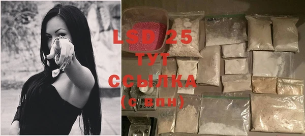 сатива Аркадак