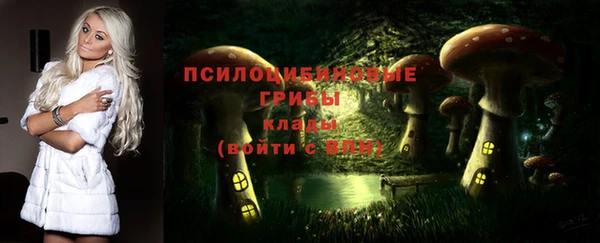 прущие грибы Алексин