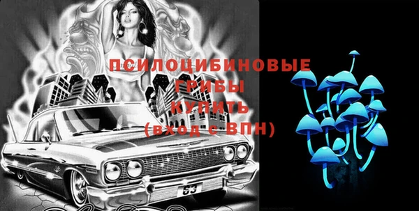 сатива Аркадак