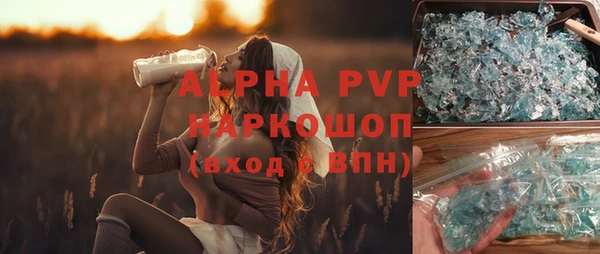 прущие грибы Алексин