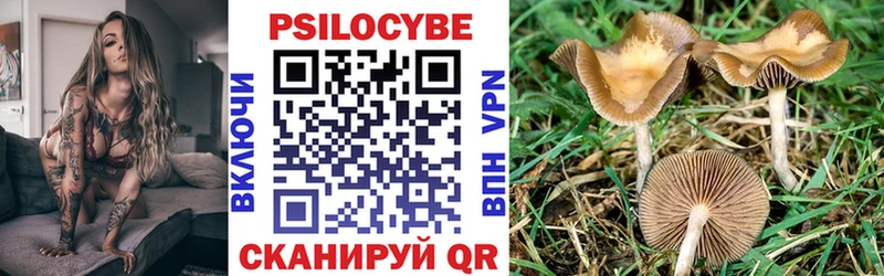 Псилоцибиновые грибы мухоморы  наркошоп  Лянтор 