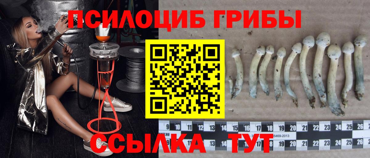 Псилоцибиновые грибы ЛСД  Вход с VPN  наркота  Лянтор  Галлюциногенные грибы мицелий 