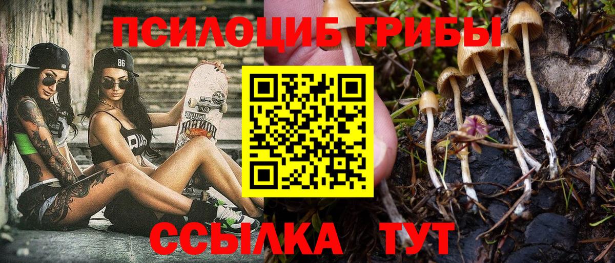 Псилоцибиновые грибы Psilocybine cubensis Лянтор
